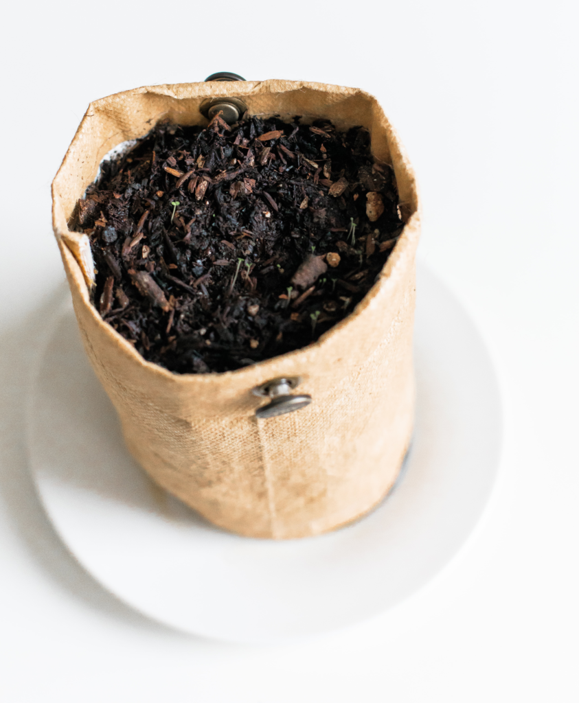 Bag of loose tea on a white plate