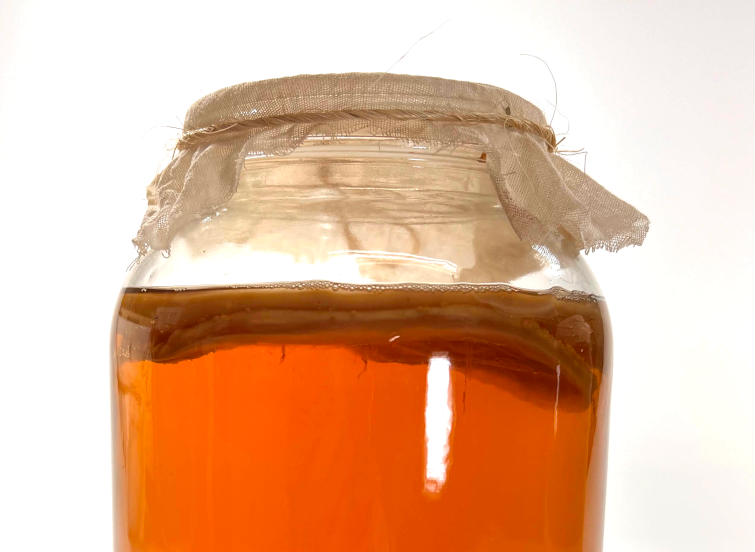 Close up a SCOBY floating on kombucha