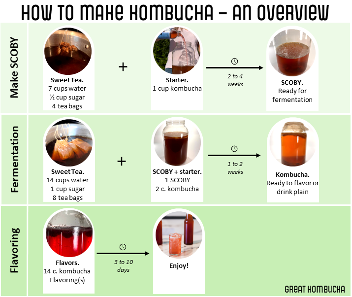 Infographic: How to Make Kombucha