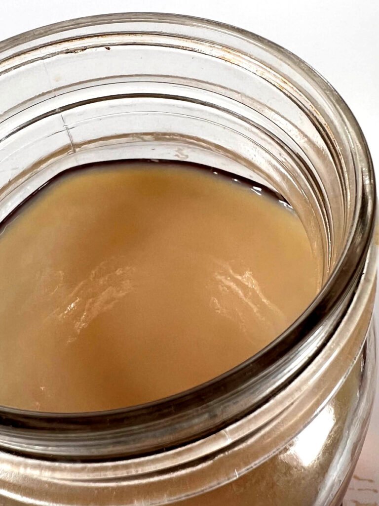 Top view of a young SCOBY