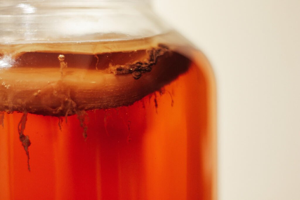 Close up of SCOBY floating on top of kombucha