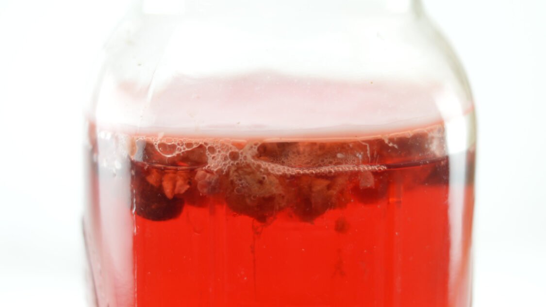 Does kombucha contain alcohol?