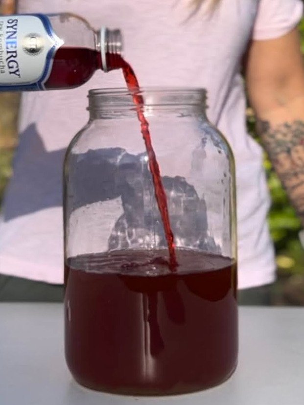 pouring starter kombucha into fermenter