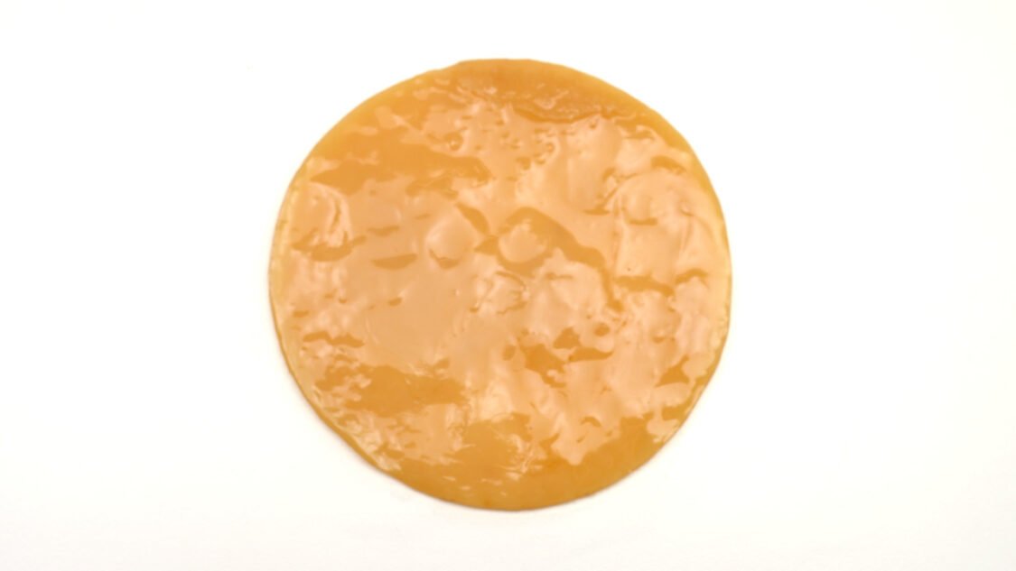 SCOBY on white background