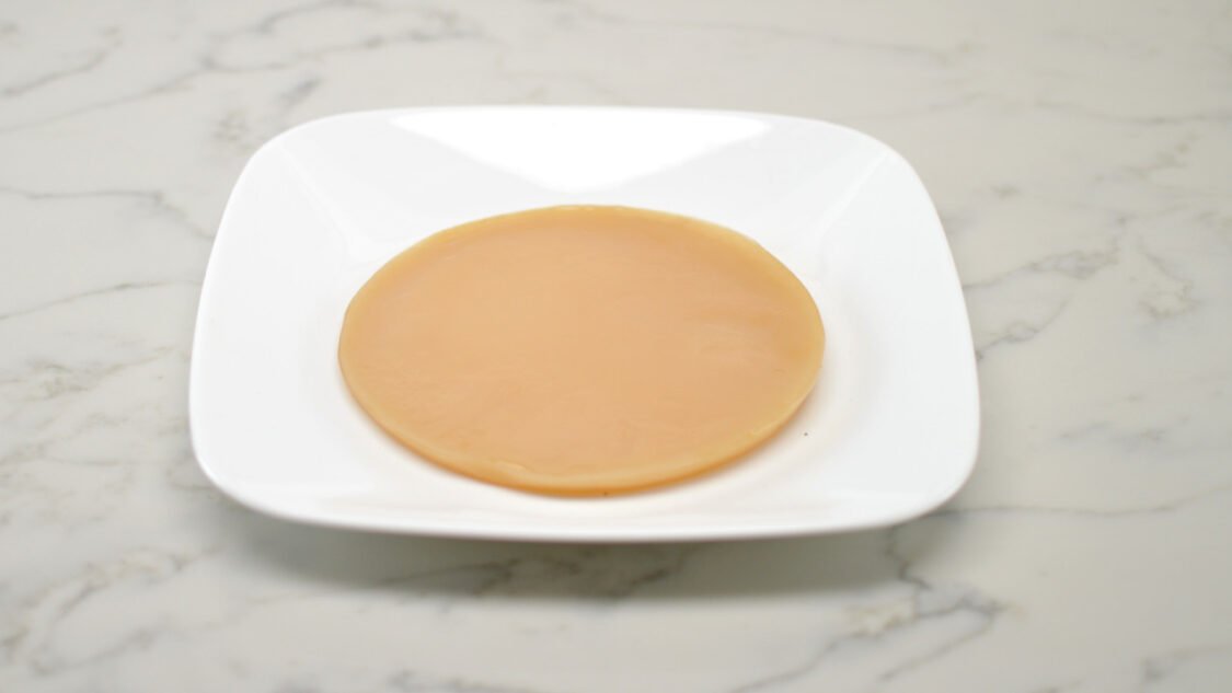 Kombucha SCOBY on Plate