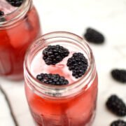 blackberry vanilla kombucha