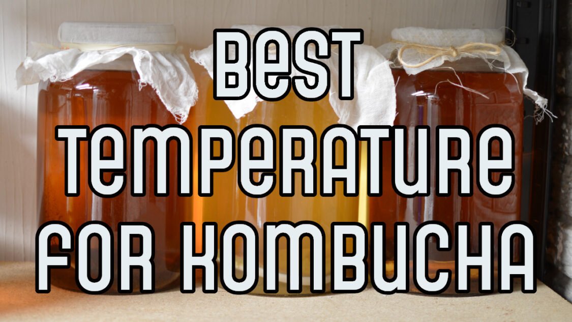 best temperature for brewing kombucha