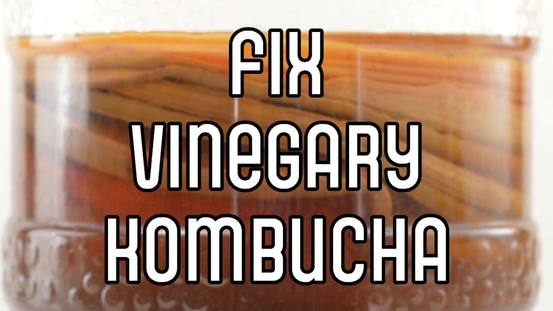 fix vinegary kombucha