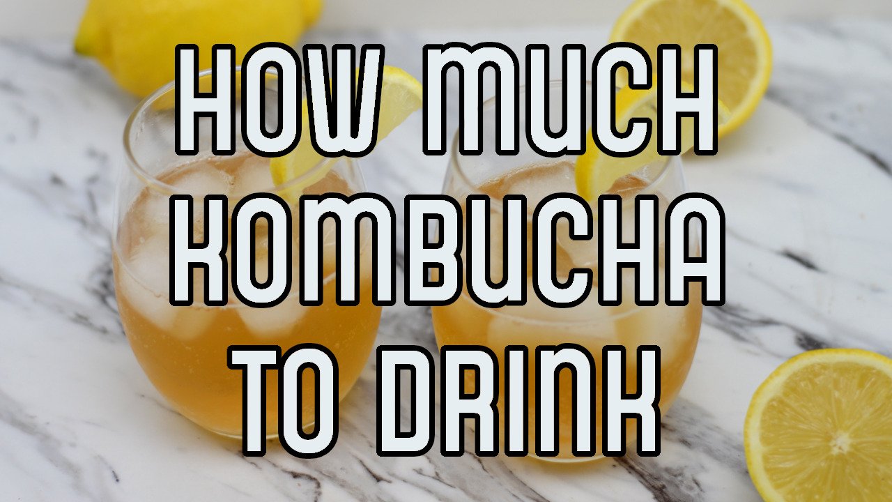 How Much Kombucha To Drink Great Kombucha how-much-kombucha-to-drink-great-kombucha