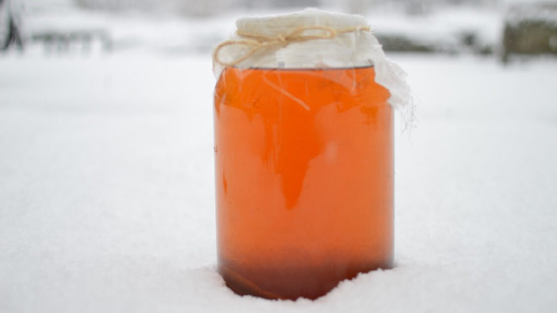 kombucha in snow