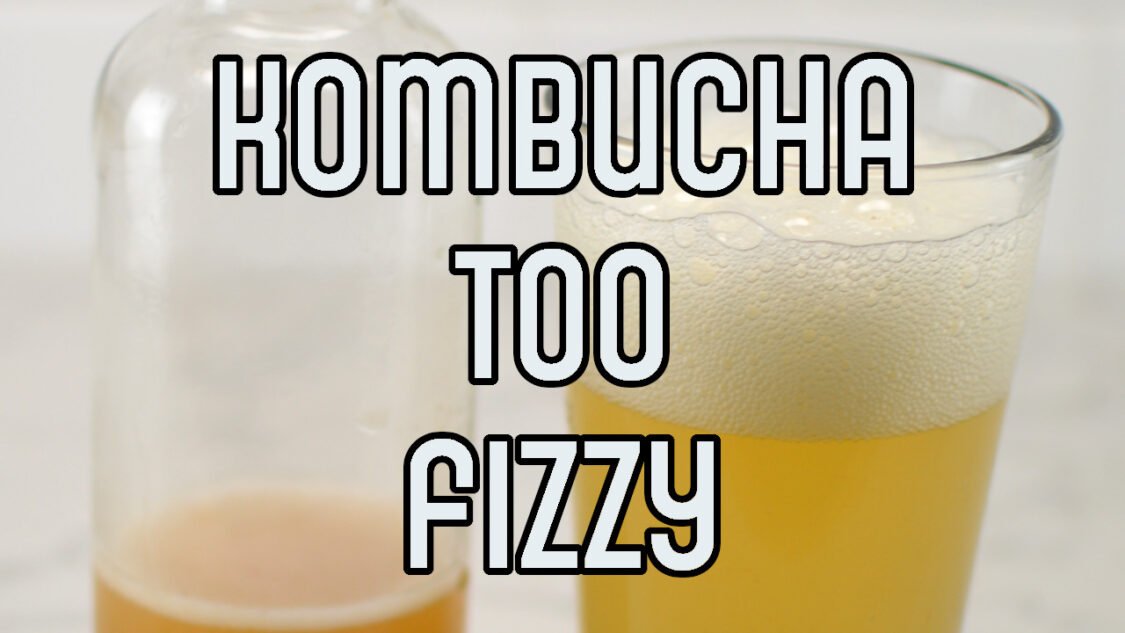 kombucha too fizzy