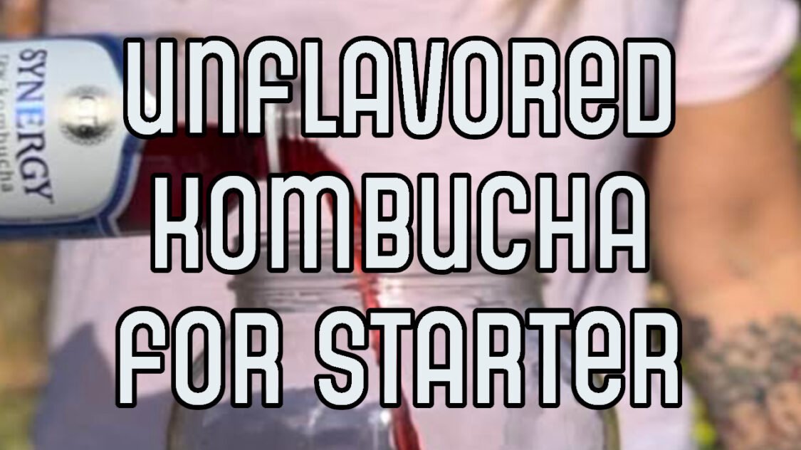 unflavored kombucha for starter