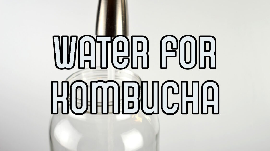 water for kombucha