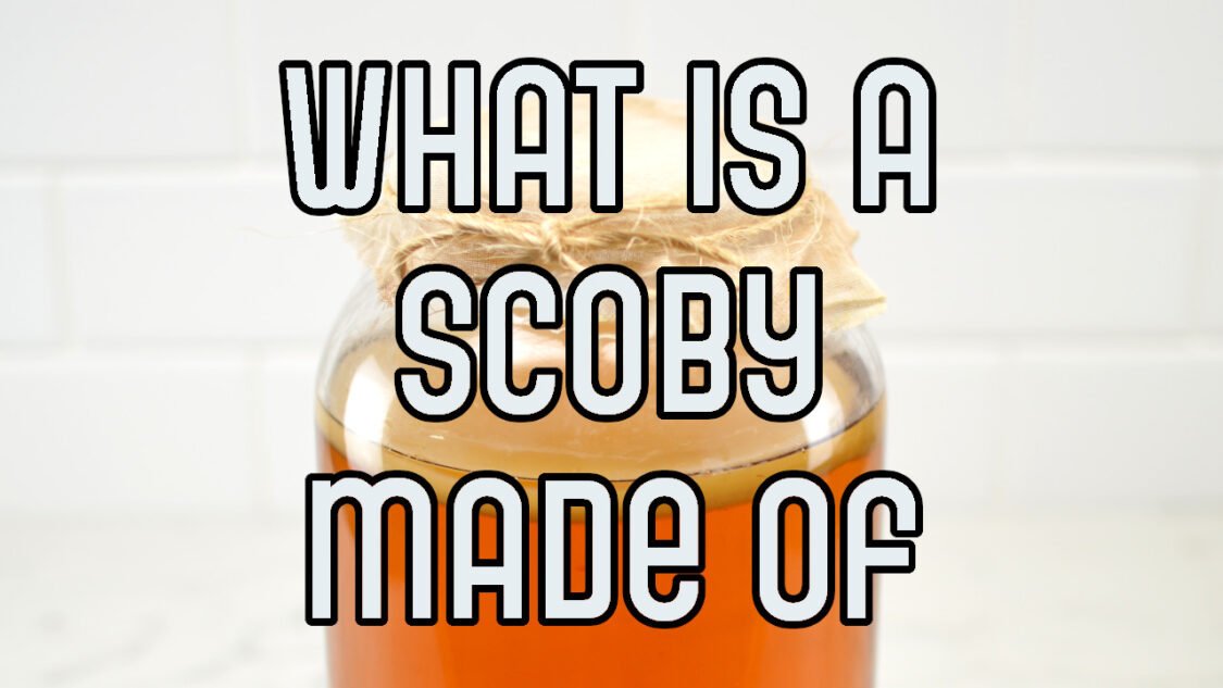 what is a scoby made of