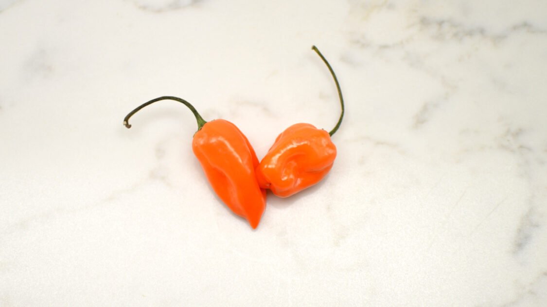 habanero peppers