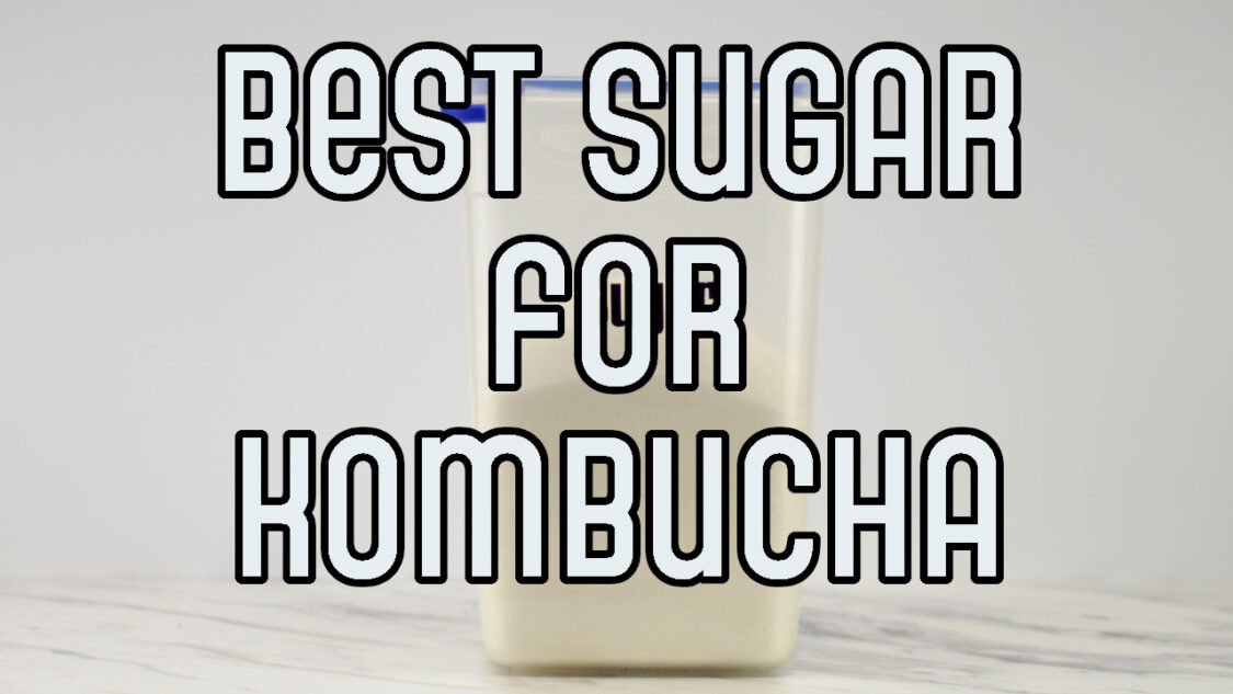 best sugar for making kombucha
