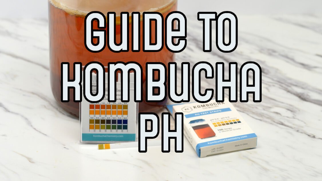 guide to kombucha ph