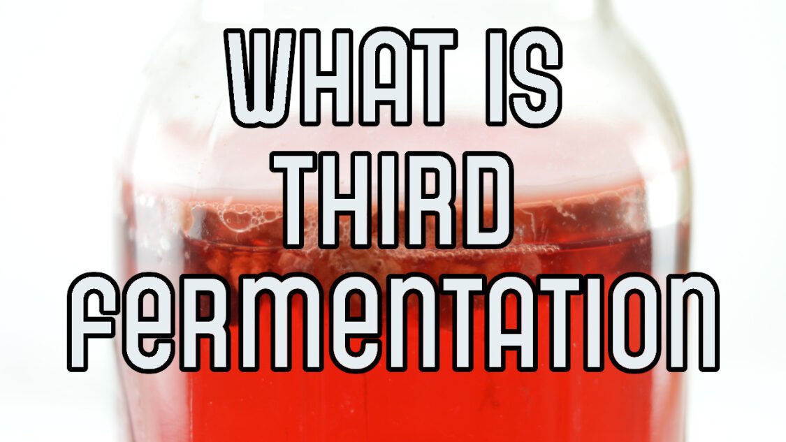 what is third fermentation