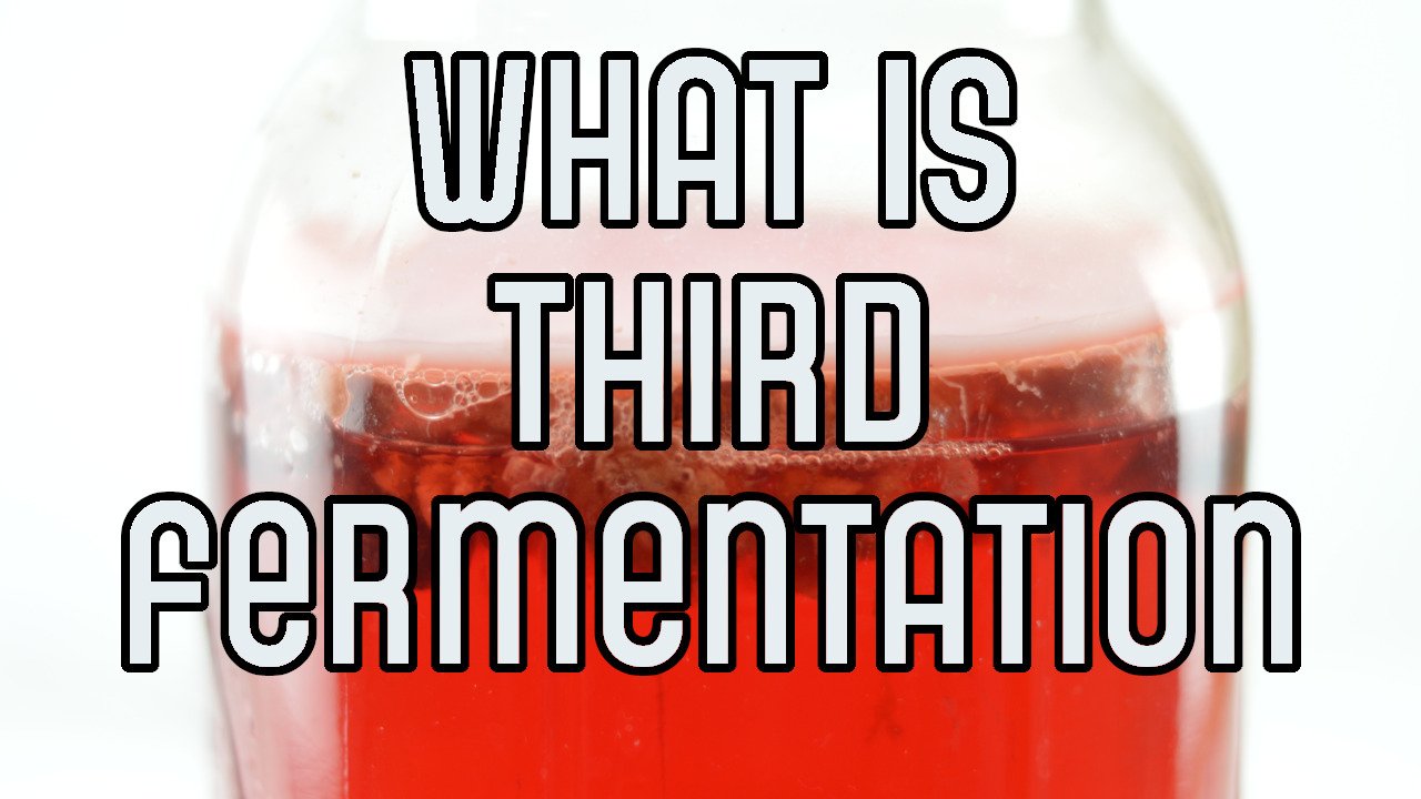 what-is-third-fermentation-great-kombucha