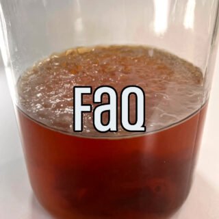 Kombucha FAQ