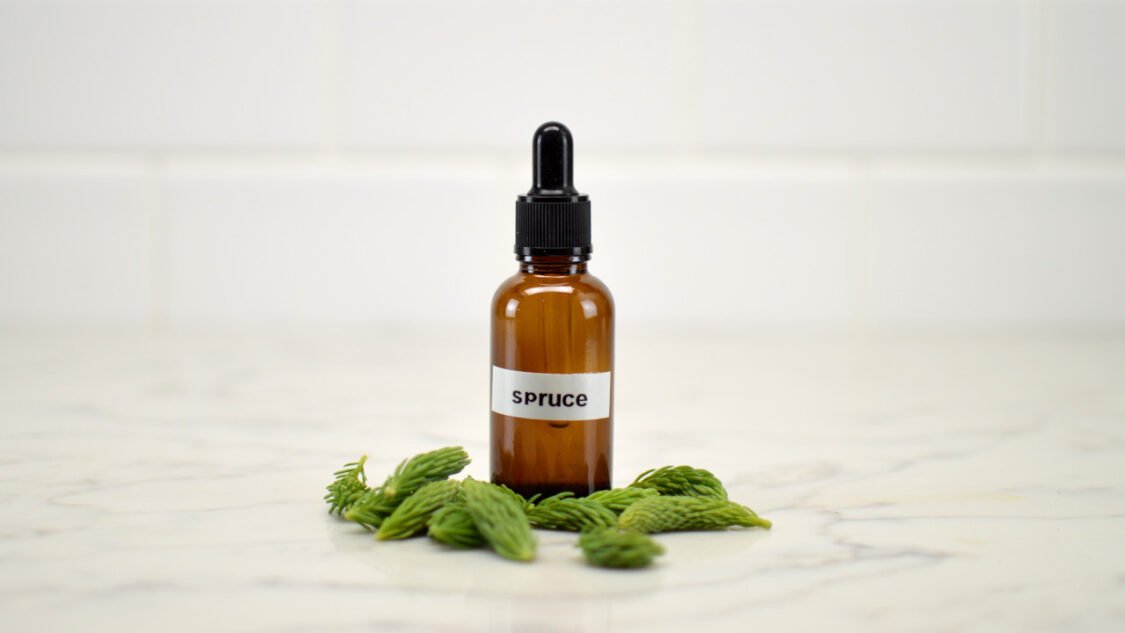 spruce tip extract