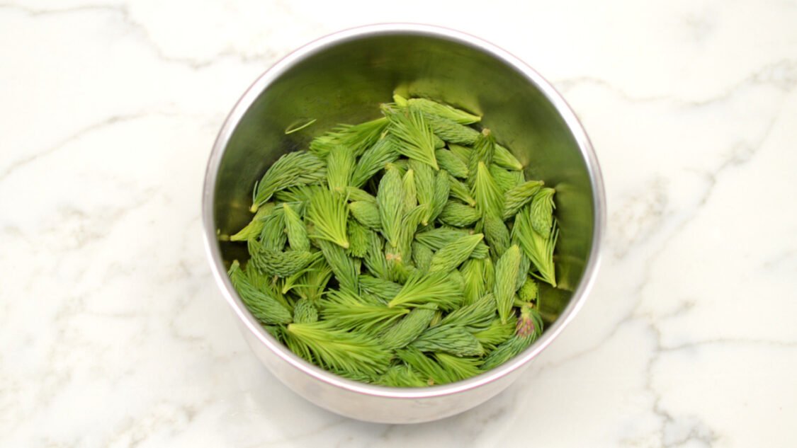 spruce tips in bowl