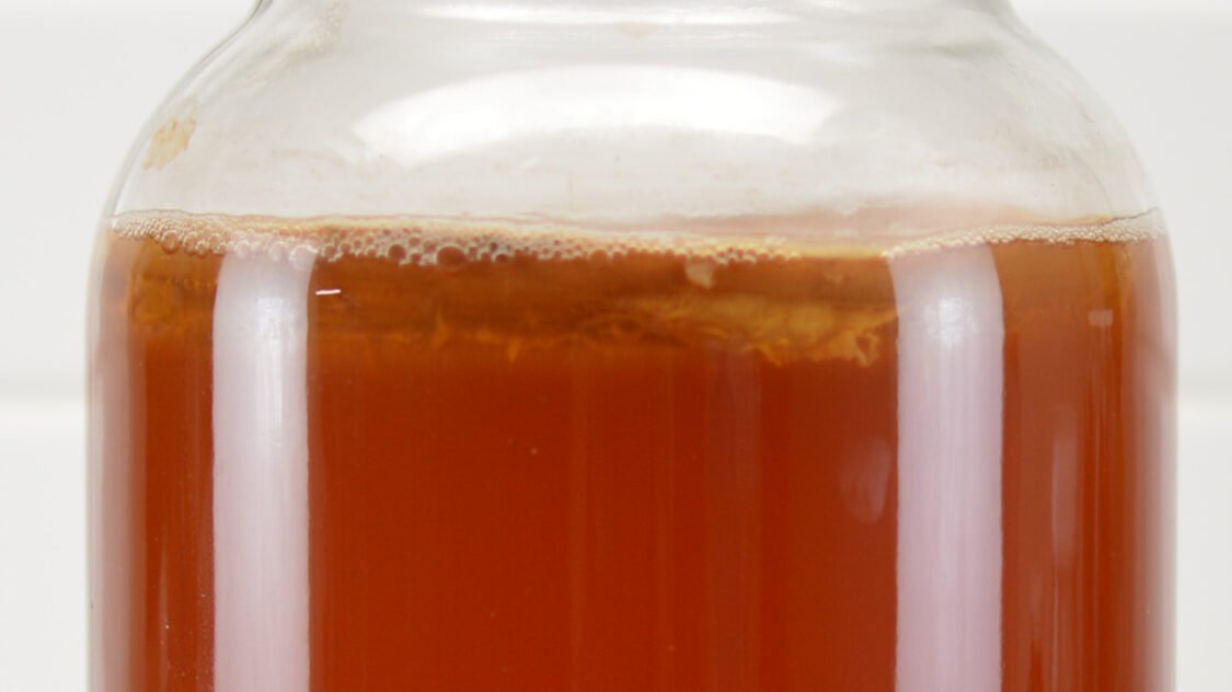 Close up of malt kombucha SCOBY