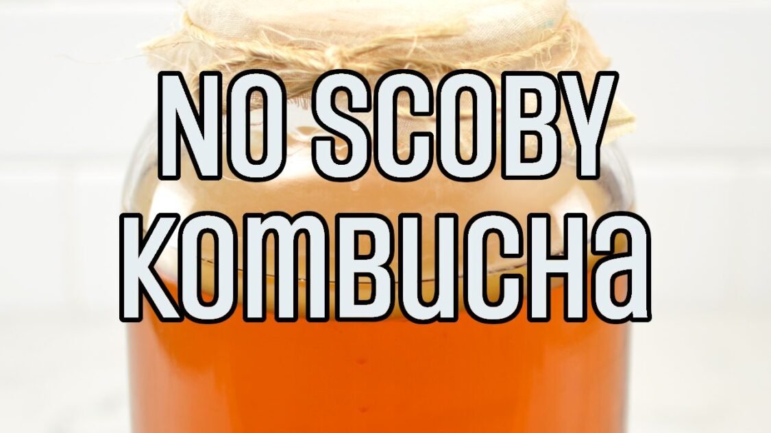 Make Kombucha without a SCOBY